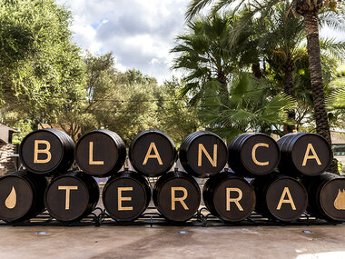 Blanca Terra: visita a museo, bodega y cata de vinos con chocolate