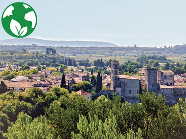 Balade avec dégustation de plantes sauvages et atelier de teinture écologique