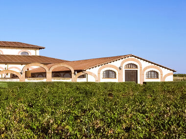 Bodegas Fariña: visita guiada, museo vino-arte y cata de vinos