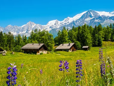 Séjour gourmand de 2 jours avec dîner en Savoie