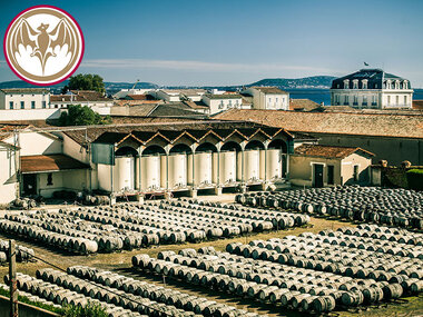 Visite et dégustation autour du vermouth français avec la maison Bacardi