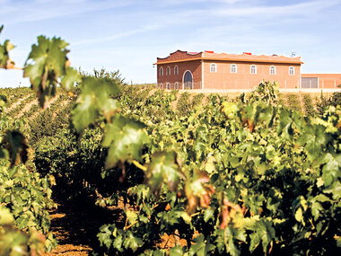 Visita a bodega, cata y obsequio en Pago de las Encomiendas