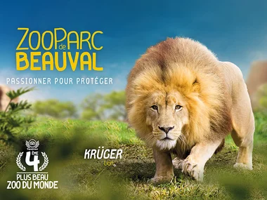 Billets pour le ZooParc de Beauval 2025 : 2 entrées adulte pour 1 journée