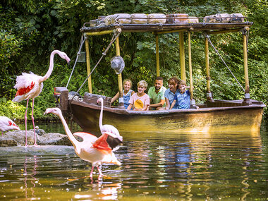 Journée en famille à Bellewaerde