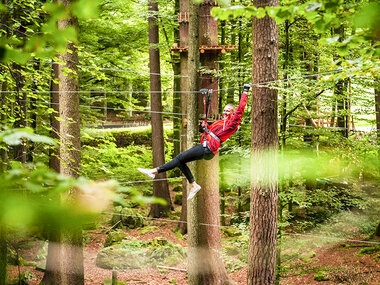 Aventure de plein air à Interlaken : accès à 9 parcours d'accrobranche pour 1 adulte