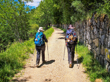 Camino de Santiago Francés con 6 noches, seguro de viaje y credencial