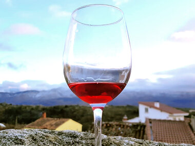 Visita guiada y cata con maridaje en 10 Delirios Bodegas y viñedos