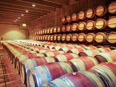 Celler Mas Llunes: visita al viñedo y bodega con cata y obsequio para 2