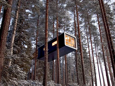 Tree hotel: en magisk upplevelse bland talltopparna för 2