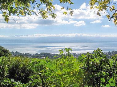 Dégustation de vins, visite du domaine, 3 bouteilles de vin offertes entre Genève et Lausanne