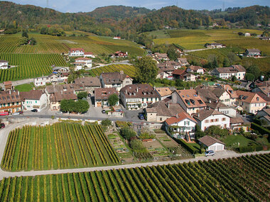 Besuch von Weinkellern in Tartegnin mit Verkostung und 3 Flaschen Wein