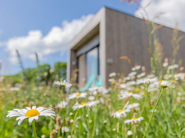 Séjour nature dans une cabane en bois avec 1h d'accès au sauna dans les montagnes du Sancy