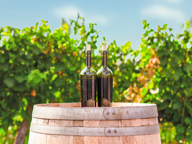 Visite, dégustation et accord mets-vins en duo aux portes de Paris