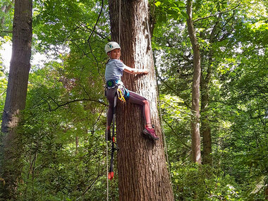 Atelier accrobranche et escalade d'arbres de 2h30 avec collation pour 2