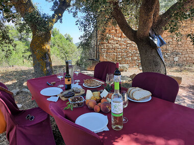Bodega Mas Blanch i Jove: visita a la bodega y cata de vinos y aceites