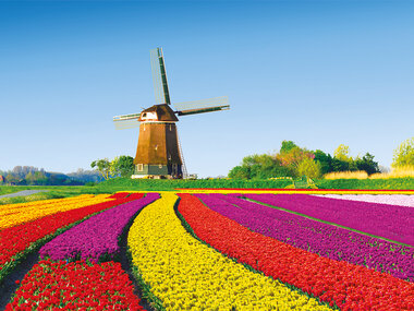 2 dagars vistelse i Nederländerna