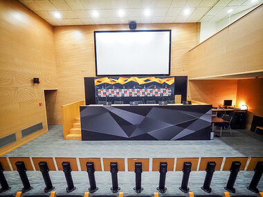 Para futboleros: 2 entradas para 2 adultos al Estadio RCD Espanyol de Barcelona