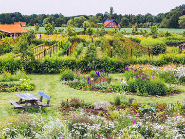 Bloemen- of fruitplukbeurt en lunch nabij Venlo