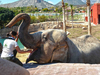 Fantástica biodiversidad: entrada para 2 adultos y 1 niño en Terra Natura Benidorm