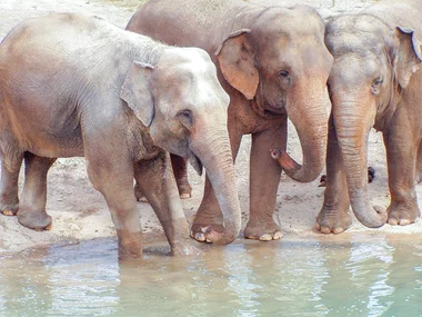 Terra Natura Benidorm: 1 entrada para 2 adultos