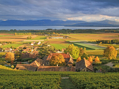 1 notte sul Lago Lemano con cena tipica all’Hôtel Restaurant La Clef d'Or