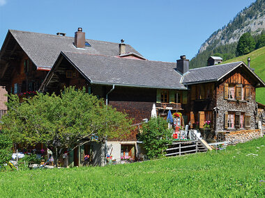 Cita con la naturaleza en Suiza: 1 noche con desayuno
