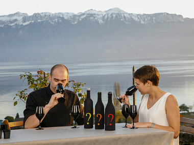 L'art de la dégustation de vins en duo en Lavaux