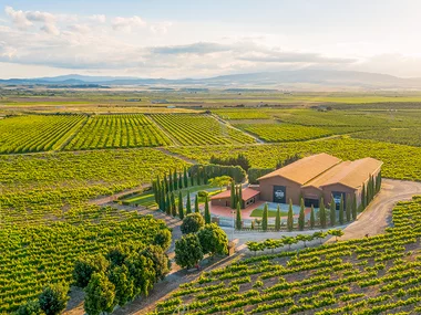 De copas por La Rioja: 1 visita a Bodega Heraclio Alfaro, del Grupo Terras Gauda