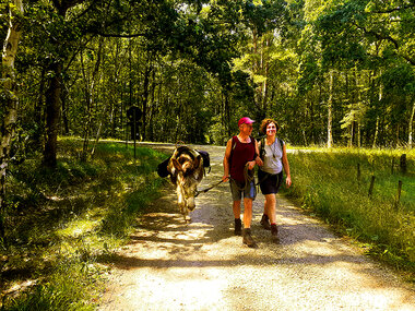 Promenade en famille d'une journée avec un âne à Diest