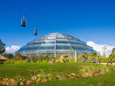 2 Tage mit der Familie im ZooParc de Beauval für 2 Erwachsene und 1 Kind