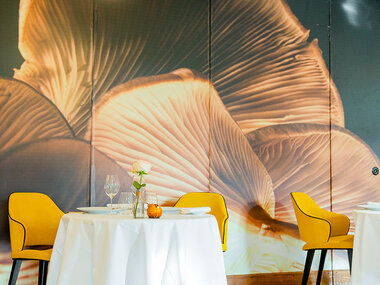 Halte gastronomique à une table à Bagnoles-de-l'Orne