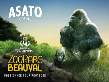 Billets pour le ZooParc de Beauval 2025 : 2 entrées adulte et 1 entrée enfant pour 2 journées