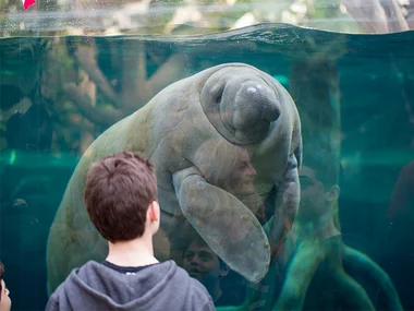 Activité en famille : entrée pour 2 adultes et 2 enfants au Parc Zoologique de Paris