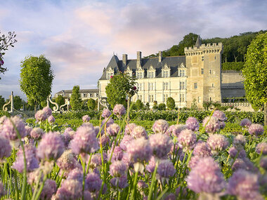 Château de Villandry près de Tours en famille : 2 entrées adulte et 1 entrée jeune