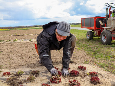 Blomster- eller frø- og dyrkningskursus hos Tinnetgaard