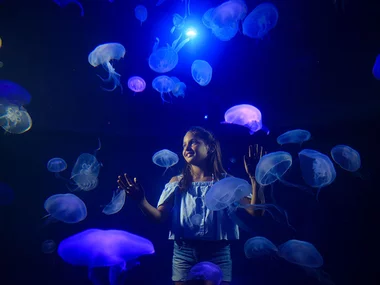 Palma Aquarium: 1 entrada de adulto y 1 de niño con cine