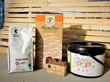 Kit de culture de champignons livré à domicile