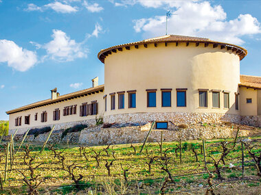 El corazón de la vid: 2 noches con desayuno, cena y ruta del vino en el Hotel Enoturismo Mainetes