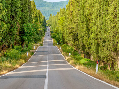 Guida lenta tra gli itinerari toscani a bordo di una Lancia Flavia d’epoca (5h)