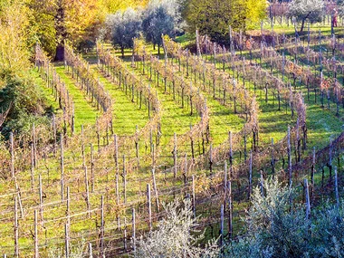 1 romantica degustazione di vino per 2 in una cantina sul Lago di Garda