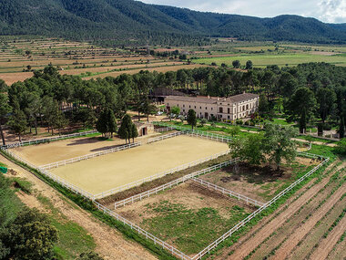 Bodega Los Pinos: visita a los viñedos y bodega con cata para 2 personas