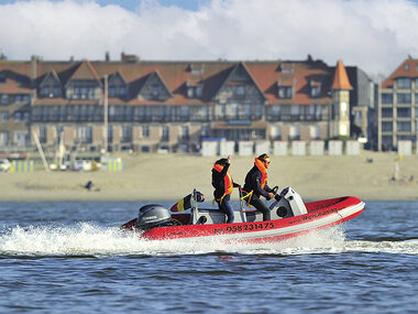 Zeehonden spotten op de Westerschelde voor 2 personen