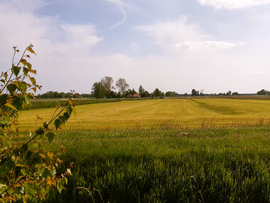 2 dagen in een Pipowagen op de Friese mini-camping Oer de Haske