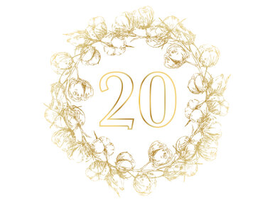 ¡Feliz 20º aniversario de boda!