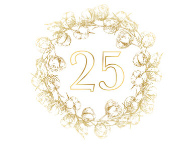 ¡Feliz 25º aniversario de boda!