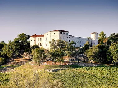 Séjour de 2 jours en château 4* avec dîner et dégustation de vins près de Gaillac