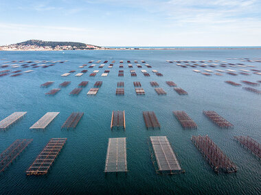 Vol en hélicoptère de 20 min pour 2 personnes au-dessus de l'Étang de Thau