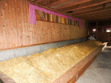 1 nuit à dormir sur la paille en famille près du lac de Constance