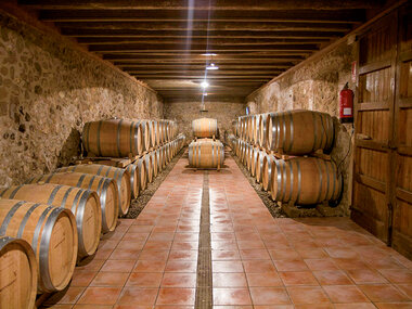 De bodegas en Tarragona: visita guiada y cata de vinos