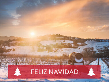 ¡Feliz Navidad entre viñas! 1 noche con cata de vinos